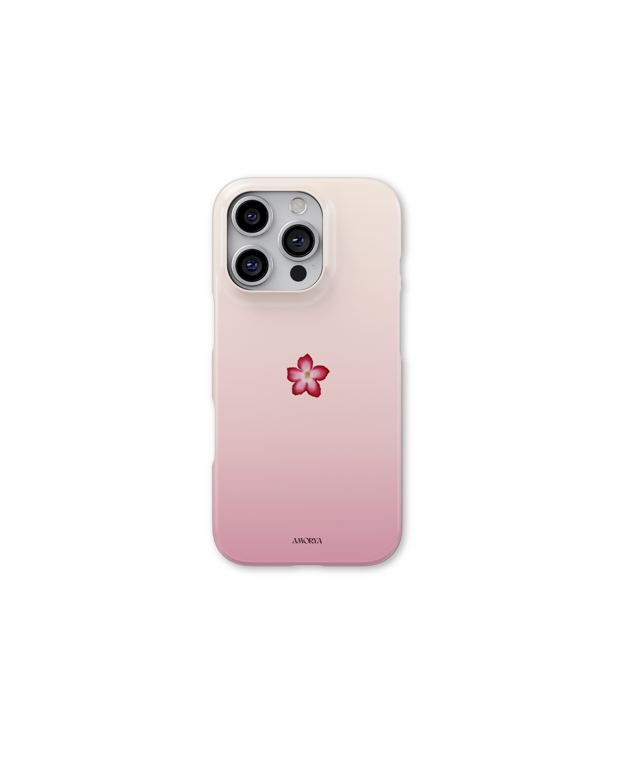 Pink Blooming Flower