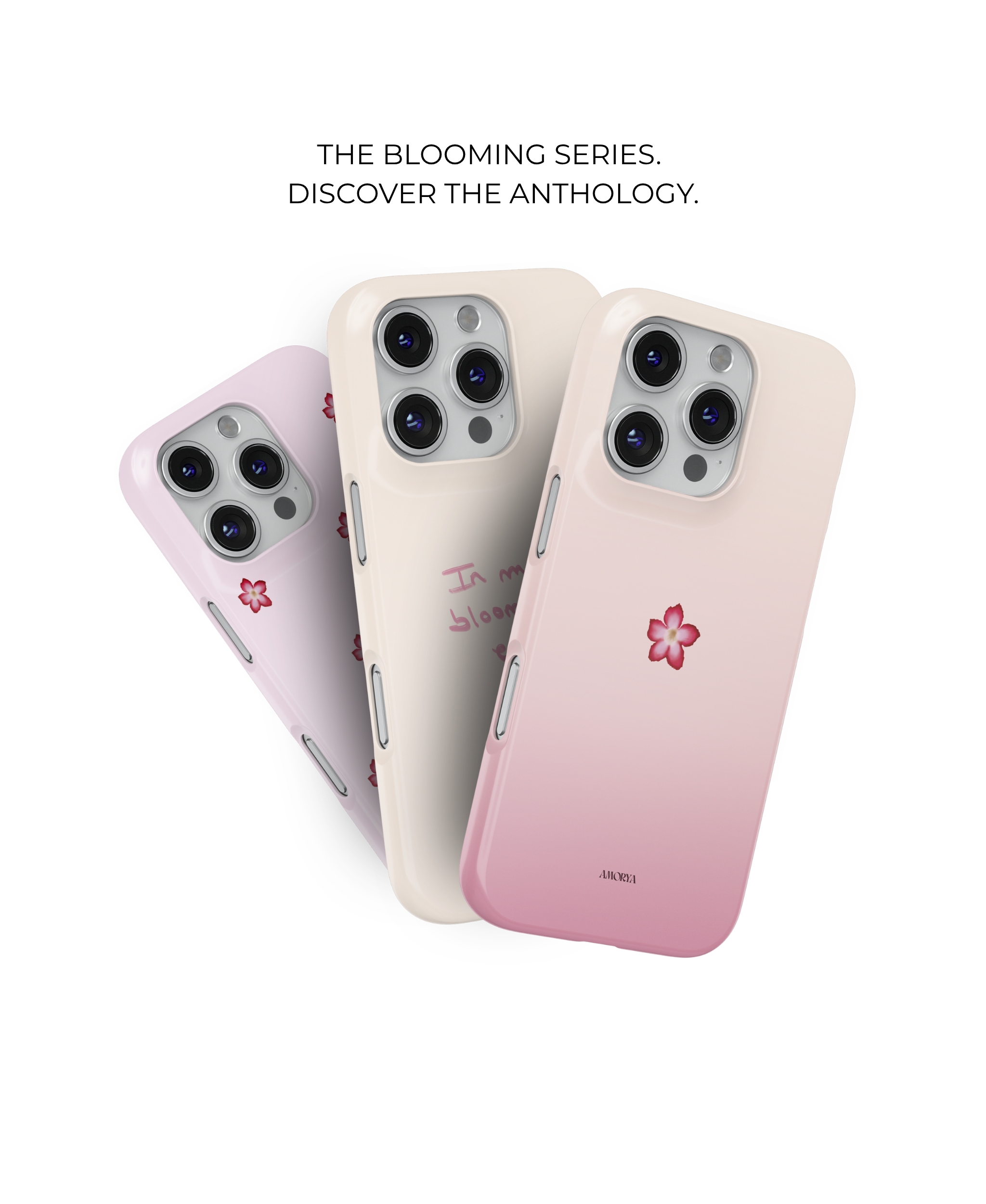 Pink Blooming Flower